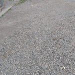 20746812_10212749485004271_1276957368_o