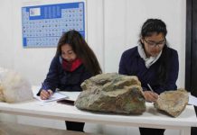 QUEDAN 5 DÍAS PARA APELAR A LOS RESULTADOS DE LA POSTULACIÓN A LA GRATUIDAD Y BECAS