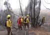 ONEMI MANTIENE ALERTA POR CONDICIÓN ATMOSFÉRICA QUE FAVORECE INCENDIOS FORESTALES