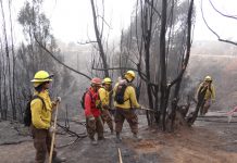 Se mantiene la Alerta Roja para la comuna de Quilpué por incendio forestal