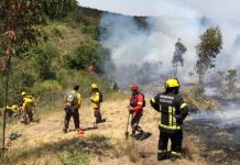 Expertos identifican infraestructura crítica y áreas de riesgo ante incendios forestales en San Antonio