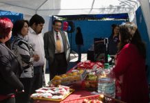 Junaeb Valparaíso: finaliza proyecto de Educación Alimentaria en la provincia de Los Andes