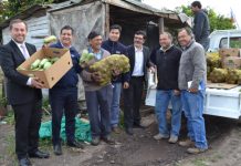 Con la venta de más de una tonelada de verduras debutó convenio Indap – Junaeb en la región