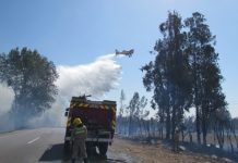 Una persona fue detenida por quema de pastizales en la provincia de Quillota