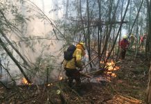 Intendente de Valparaíso acusa «intencionalidad» en incendio y advierte que «podríamos haber tenido uno como el de 2014»