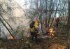 IMPORTANTE ACUERDO LOGRAN CONAF Y BOMBEROS PARA ENFRENTAR LOS INCENDIOS FORESTALES