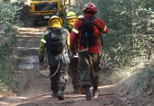 Ministro Walker por recursos para incendios forestales: “El presidente Piñera autorizó $2.600 millones extra para prevención”