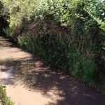 canal_kikggwww1portal