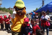 CONAF y consultores refuerzan vínculo para el manejo y la conservación de los bosques