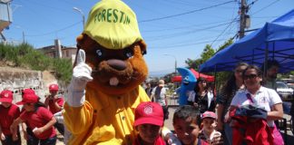 CONAF y consultores refuerzan vínculo para el manejo y la conservación de los bosques