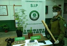 Carabineros de Quillota detuvo a persona por tráfico de drogas y tenencia de armamento
