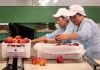 Seremi del agro trabaja para asegurar abastecimiento de frutas y verduras a la comunidad