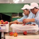 frutas_pro_a1portal