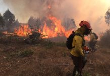 Se declara Alerta Roja para la comuna de Quilpué por incendio forestal