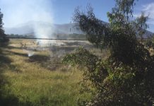 Carabineros detuvo a un hombre que quemaba ilegalmente desechos agrícolas en Calle Larga