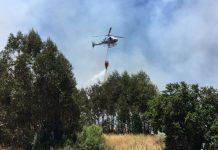 Más de 100 estudiantes de Placilla adquieren conocimientos para prevenir incendios forestales