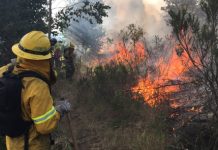 Sin avance se encuentra incendio forestal que mantiene con alerta roja a Cartagena