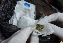 Incautan té de “finas hierbas” en cárcel de San Antonio