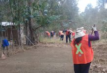 CONAF construyó más de 27 kilómetros de cortafuegos en San Antonio