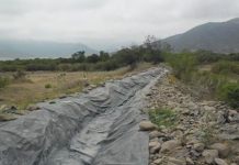 Agricultores acusan pérdida del 70% de cultivos tras interrupción de suministro de agua en canal El Melón