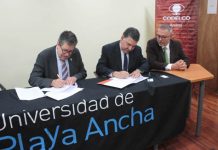 Universidad Playa Ancha se suma a programa Andina más Cerca