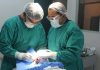 Los Andes: 280 personas han mejorado su calidad de vida gracias a programa de implantes dentales