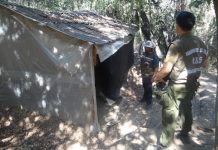 Desinstalan campamento ilegal ocupado para la extracción de semillas de palma en La Campana
