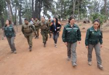 Inician patrullajes para prevenir incendios forestales durante el Festival de Viña del Mar