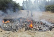 Detienen a un hombre de 76 años por quema ilegal de desechos domiciliarios y vegetacionales en Quilpué