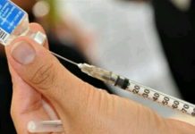 FIEBRE AMARILLA: OTROS DOS CHILENOS INFECTADOS EN BRASIL Y MINSAL INSISTE EN LLAMADO A VACUNARSE