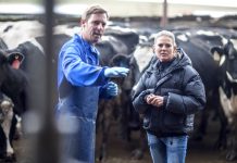 Profesionales del área ganadera de todo el país podrán postular a capital semilla