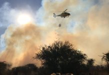 CONAF combatió 45 incendios forestales este fin de semana en la región de Valparaíso