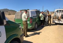 Carabineros detuvo a un hombre por provocar un incendio forestal en San Antonio