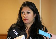 San Felipe: Programa de Tenencia Responsable realizará “chipeo” de mascotas y explicarán alcances del nuevo registro