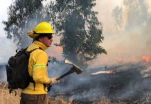Se declara Alerta Roja para la comuna de Quintero por incendio forestal