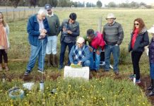 INIA entrega alternativas forrajeras para escenarios de cambio climático