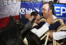 Vea: resultados del 70° Campeonato Nacional de Rodeo: