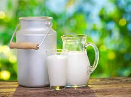 Expertos veterinarios abordan la importancia del cuidado temprano de los bovinos para una producción más eficiente