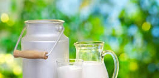 5 claves para entender qué son los probióticos y por qué son importantes para la salud