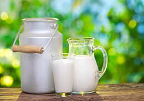 5 claves para entender qué son los probióticos y por qué son importantes para la salud