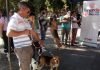 San Felipe: Este sábado se realizará jornada de educación sobre Tenencia Responsable de Animales