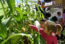 Párvulos siembran y cosechan los alimentos que consumen en lúdicas actividades pedagógicas