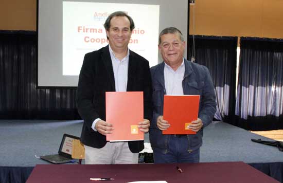 rector_mixto_andina1portal