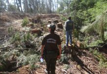 CONAF celebró 48 años de existencia en Villa Alemana