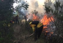 Profesores llevarán la prevención de incendios forestales a sus aulas en Concón