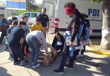 Este jueves se realiza nueva jornada de Gobierno en Terreno en la comuna de La Calera