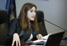 Valparaíso: Nuevas comisiones de Género, Familia y Pueblos Originarios en el CORE