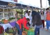 Mercados campesinos de INDAP ahora conquistan la Universidad de Playa Ancha