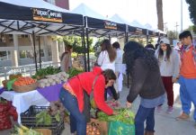 Mercados campesinos de INDAP ahora conquistan la Universidad de Playa Ancha