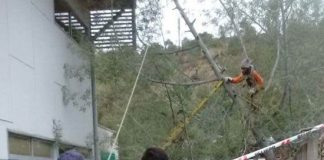 ¿Cómo usar tu seguro ante un temporal?